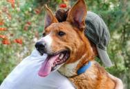 She Reported a Coworker for Neglecting Her Own Pets — Management Did Nothing