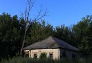 Homeowner Repeatedly Reports Neighbor’s Neglected Property, but the City Tells Her to Help Clean It Up