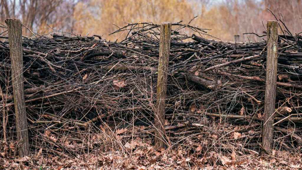 Dead hedge that someone built