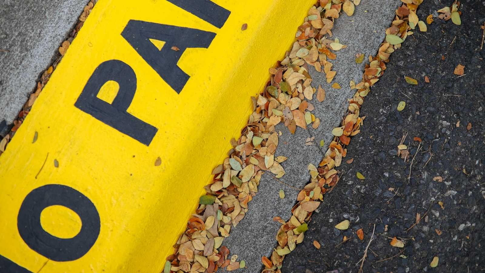 She Kept Folding In Her Neighbors Side Mirror Every Time She Parked in a No Parking Zone—Until the Neighbor Caught Her and Came Outside Ready to Fight Yellow curb painted with the words no parking