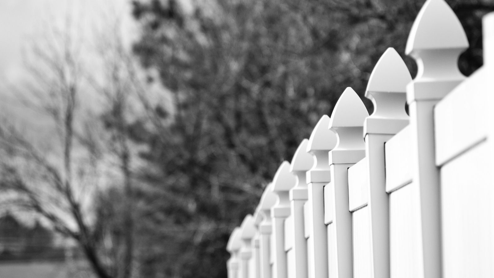 Black and white photo of privacy fence