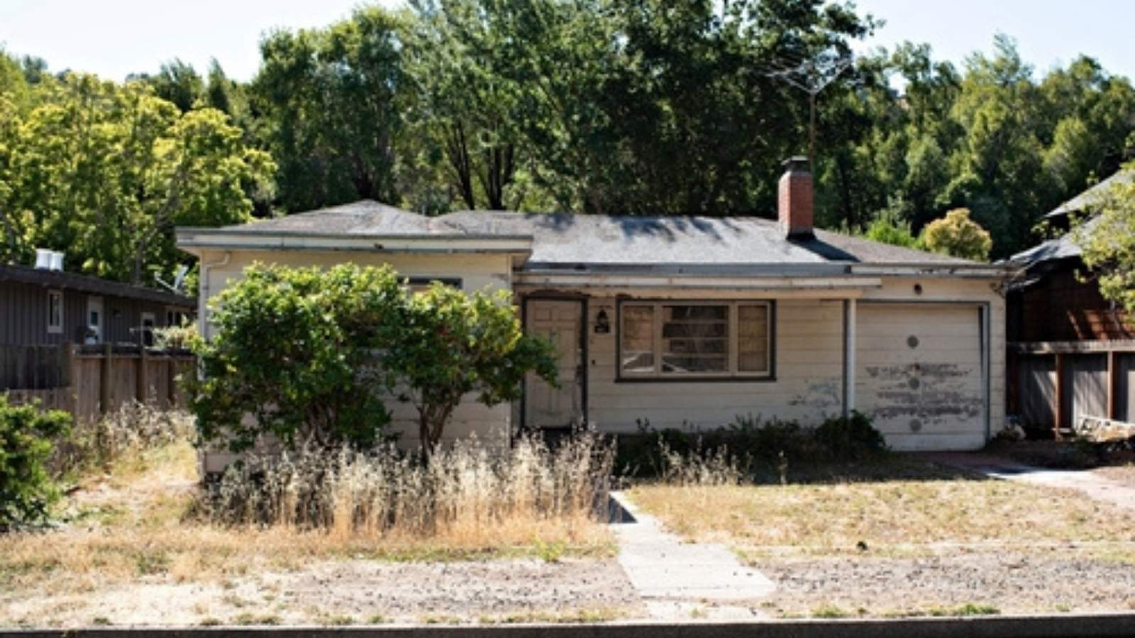 You Cant Force Us: New Buyers Respond to Outraged Neighbors With Masterclass in Petty Lawn Compliance Trashy house