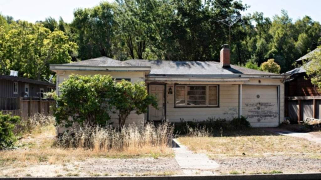 Trashy house