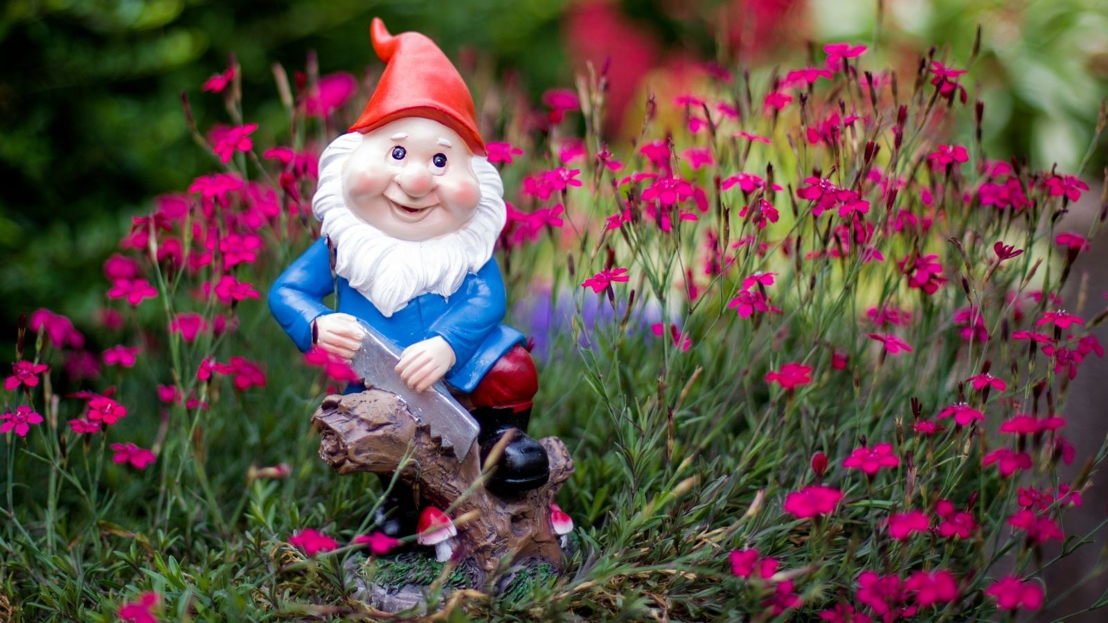 He Just Wanted to Welcome Them: Neighborhood Heartbroken After New Resident Banishes Old Man’s Gift garden gnome
