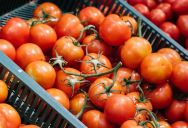 He Came To Buy Tomatoes On Sale—Then Asked The Store To Reimburse His Gas