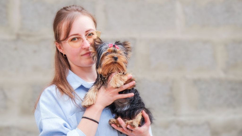 woman holding Yorkshire terrier dog