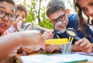 A Summer Camp Changed How Staff Paid Workers—and It Instantly Destroyed the Magic for the Kids
