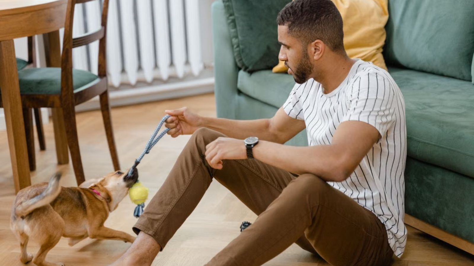 I Paid Him to Pet Sit!: Sister Outraged After Brother Demands She Buy His Expensive Preferred Foods Man playing with his dog on the floor of a cozy home