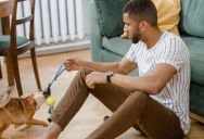 “I Paid Him to Pet Sit!”: Sister Outraged After Brother Demands She Buy His Expensive Preferred Foods
