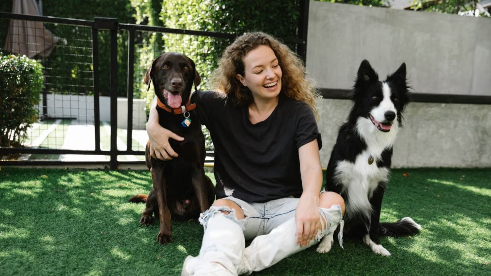 Woman playing with 2 dogs outdoors