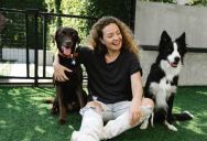 She Agreed to Help Her Mom With a Dog Emergency—Then Got Guilt-Tripped for Not Moving In Overnight