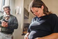 “It’s Me and the Baby or the Dog!”: Pregnant Woman Demands Partner Rehome Pet—Then All-Out War Breaks Out