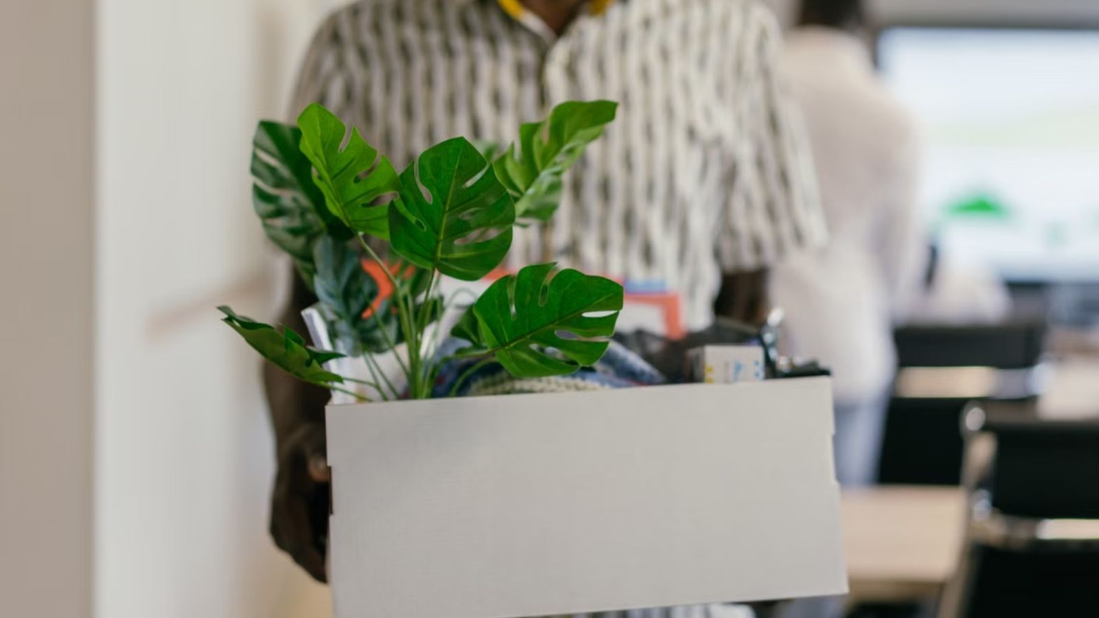 A Model Employee Followed Every Rule and Met Every Deadline—Then Lost His Job for Not Saying Good Morning Terminated employee holding a box of his office stuff