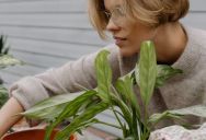 She Insists on Gardening Completely Alone, Refusing Help From Anyone—And Her Roommate Is Taking Her Independence as a Personal Rejection