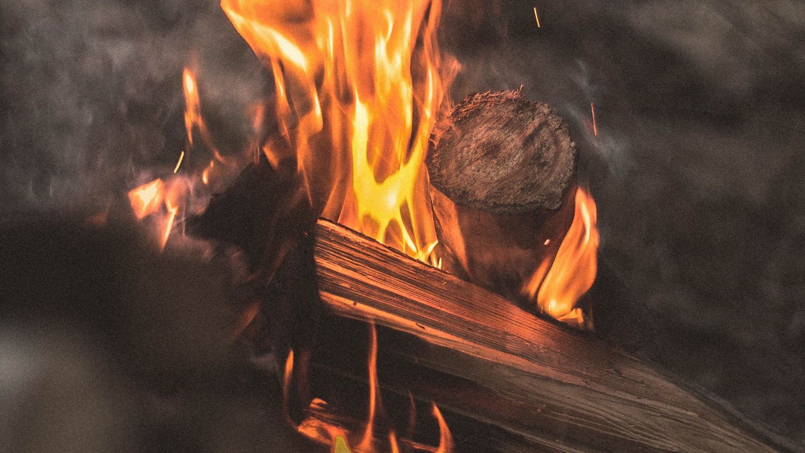 Her Neighbor Started a Fire in the Parking Lot—Then Her Landlord Barely Did Anything About It A couple of woods being set on fire outdoors