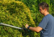 A Years-Long Neighbor Feud Sparked Back Up After They Cut the Hedges—and Dumped the Entire Mess Over the Fence