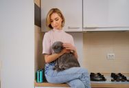 She Warned Her Roommate About the Stovetop—Then the Cat Got Burned Again