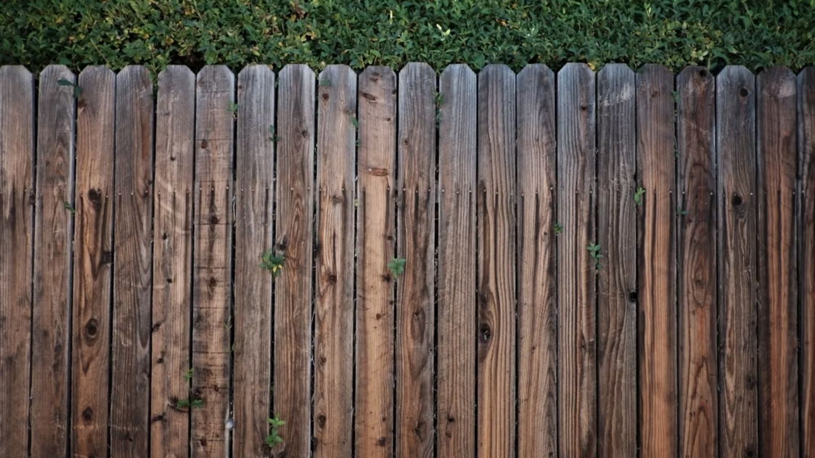 A Bad Neighbor Caused So Much Trouble That Three Houses Built Fences Just to Block Him Out Wooden fence properly installed outdoors