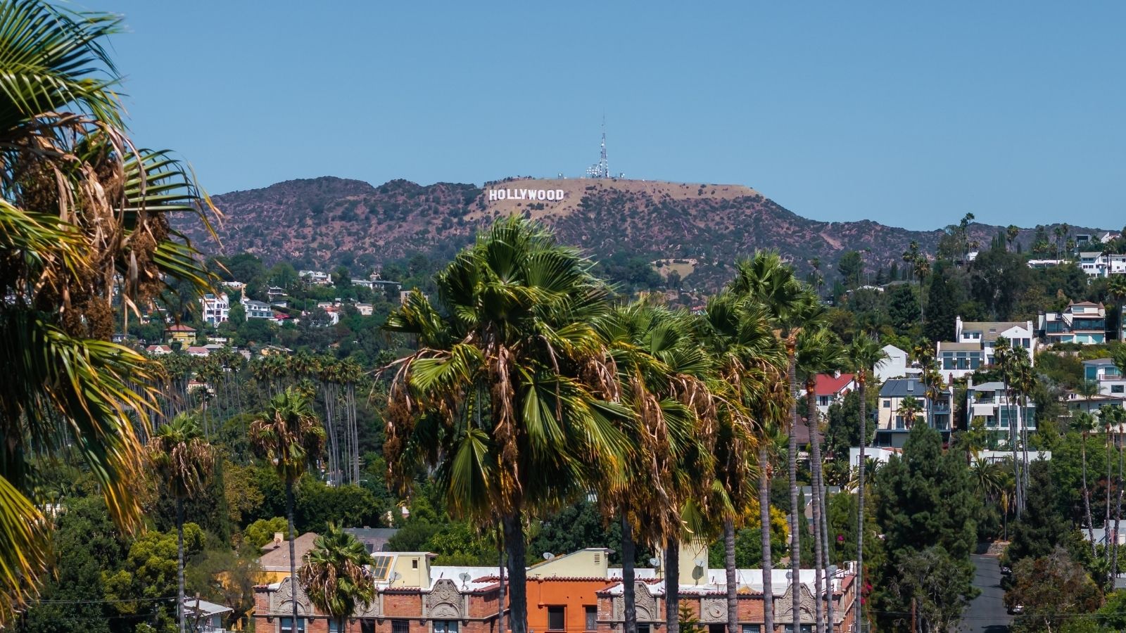 She Left Her Sister in Law Off Her Son’s Hollywood Trip—But SIL Invited Herself Along Hollywood sign on the hills in Hollywood