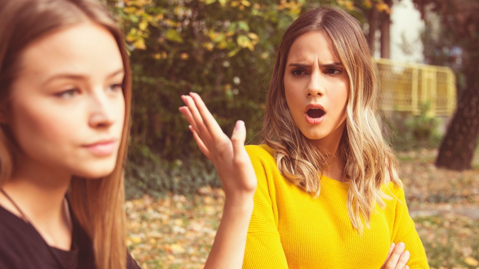 teenage sisters arguing