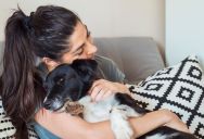 She Quit Her Job to Keep Her Dog From Being Rehomed—Then a Neighbor’s Daughter Started Scaring Him.