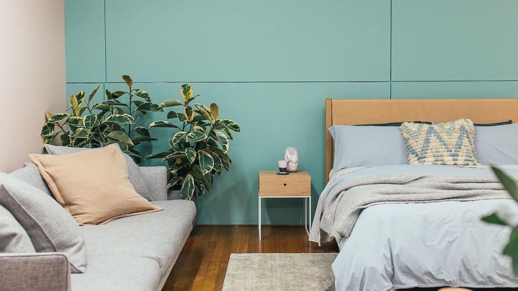 bed and couch for roommates