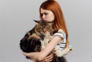 Her Friend Would Rather Give Up Her Cat Than Pay for a Spay—So She Finally Spoke Up