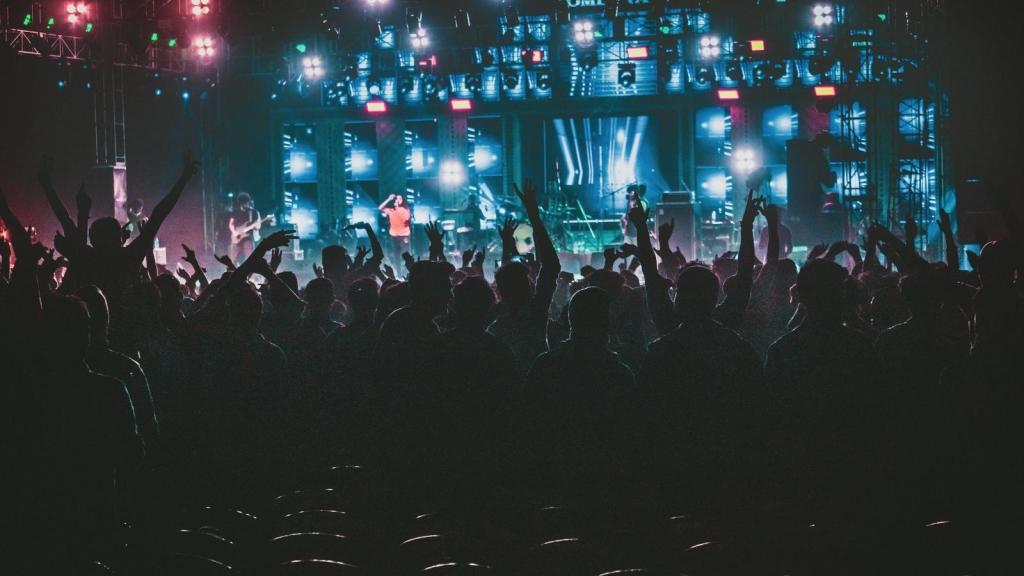 crowd at a concert