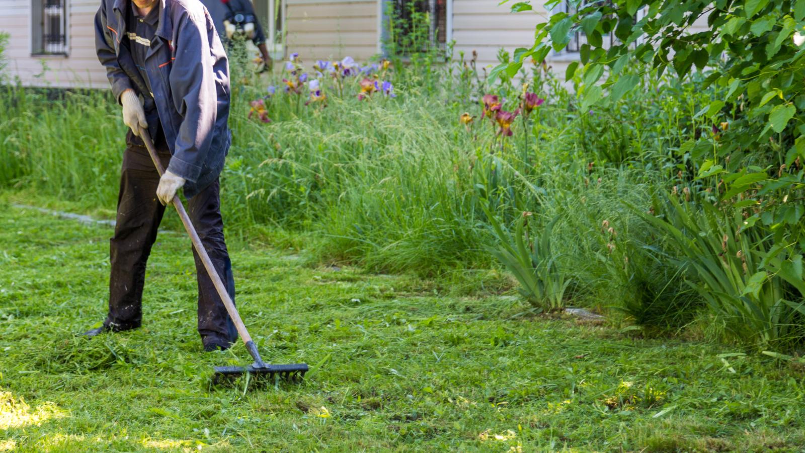His New Neighbors Refused to Mow Their Lawn—Turning the Entire Block Into an Eyesore man raking a yard