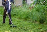 His New Neighbors Refused to Mow Their Lawn—Turning the Entire Block Into an Eyesore