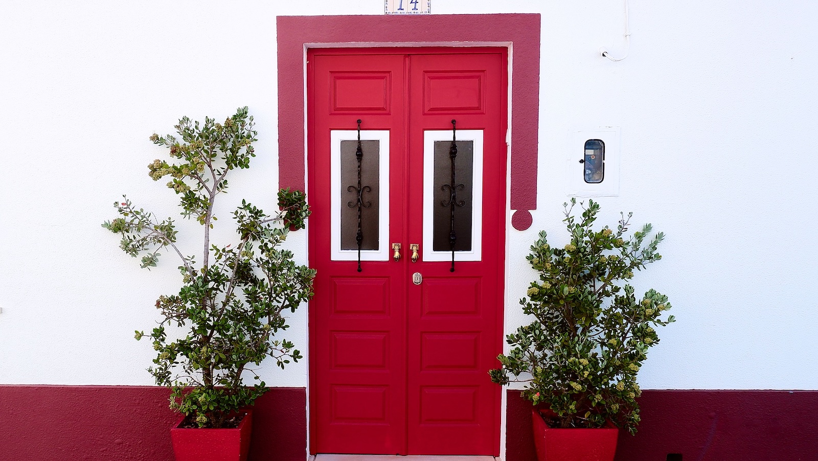 red door with plants next to it