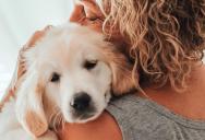 She Was Tired of Paying for Her Parents’ Dog—So She Told Them She’s Deducting the Expenses from Her Rent