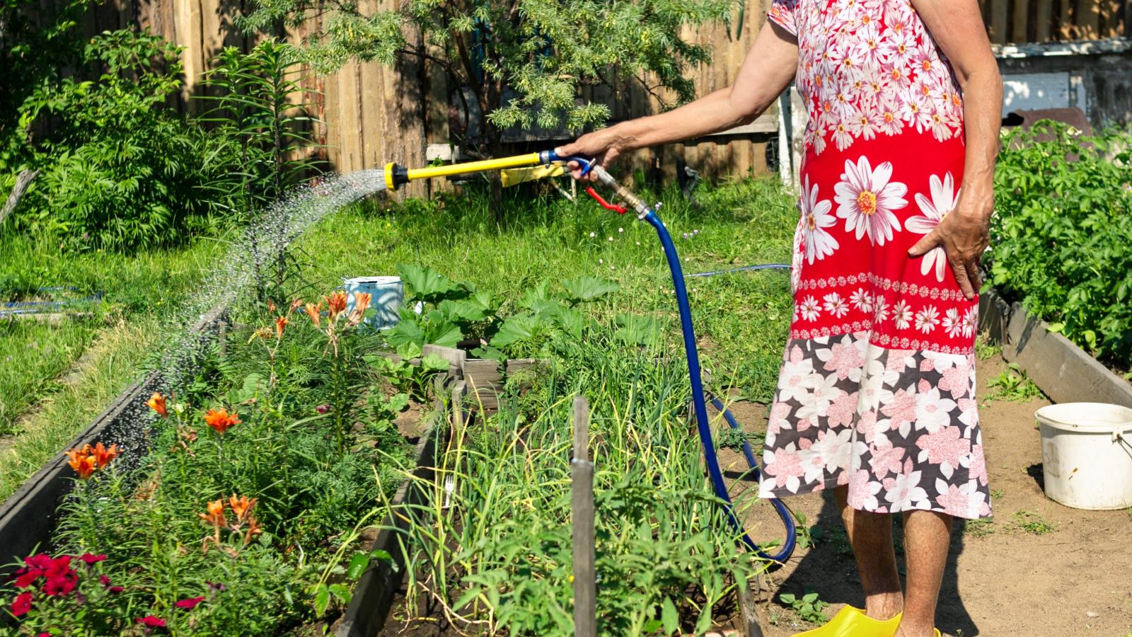 She Helped Water Her Neighbor’s Plants While They Were Out of Town—But Another Neighbor Had a Problem With It woman watering some plants