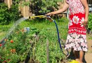 She Helped Water Her Neighbor’s Plants While They Were Out of Town—But Another Neighbor Had a Problem With It