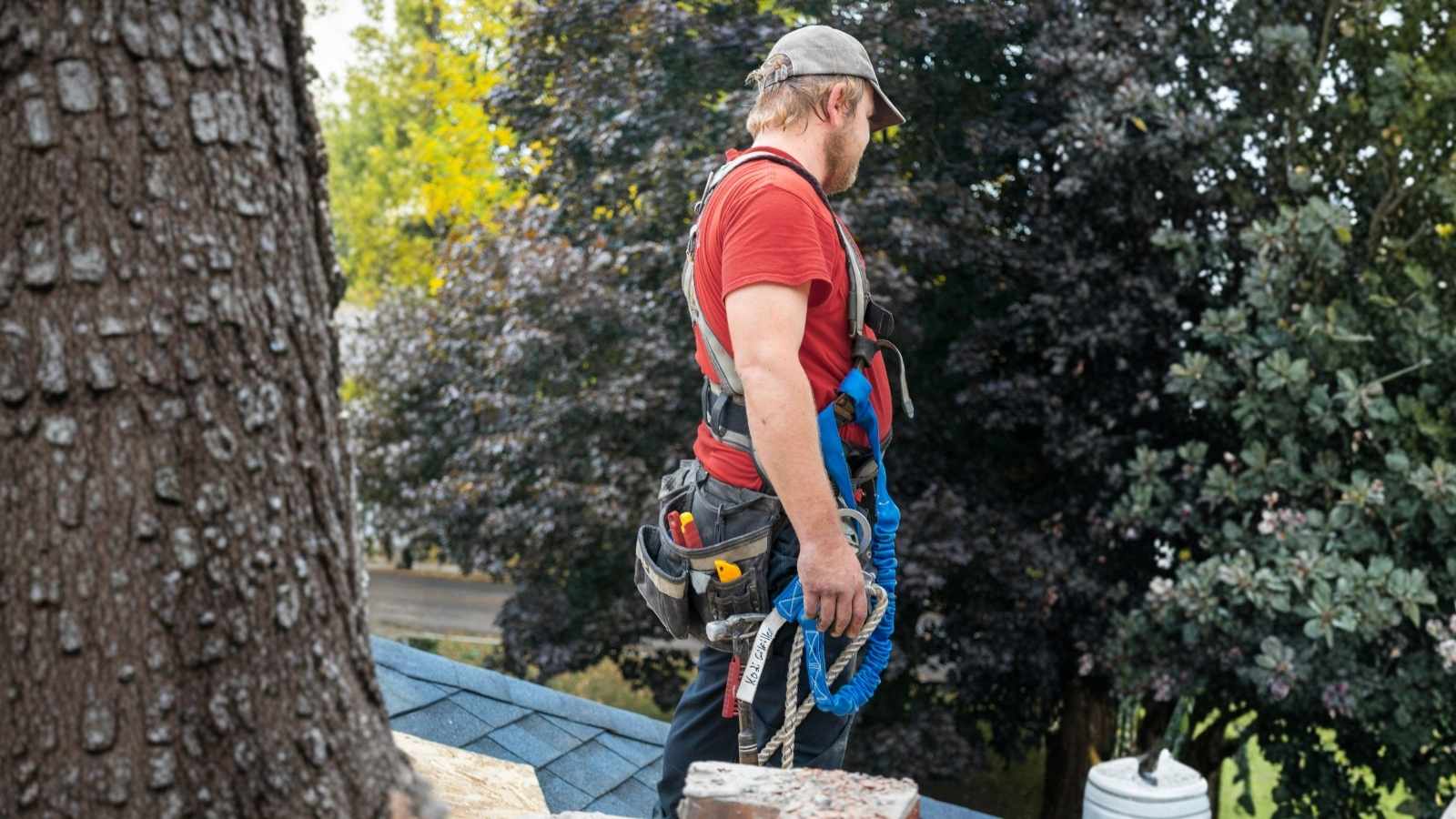 She Survived a Month Without Water Because Her Neighbor Wouldnt Let Repairs Touch His Easement repairmen doing home repairs