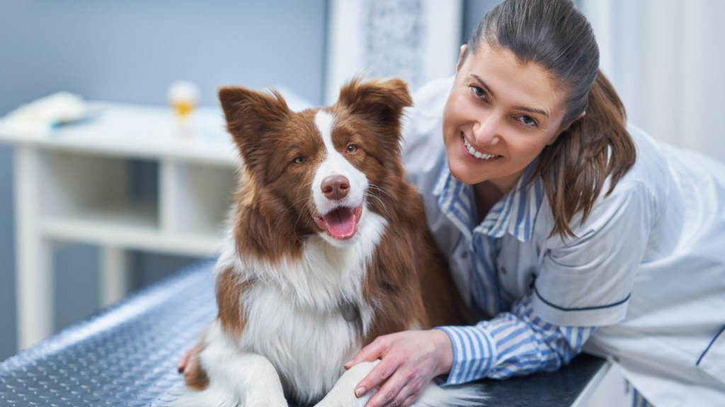 woman veterinarian smiling