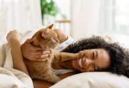 She Found A Mobile Vet To Help Her Cat Pass Peacefully At Home, But Her Spouse Thinks The Entire Plan Is A Terrible Idea