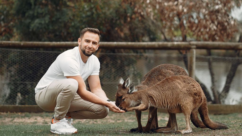 Man feeding animals in a zoo