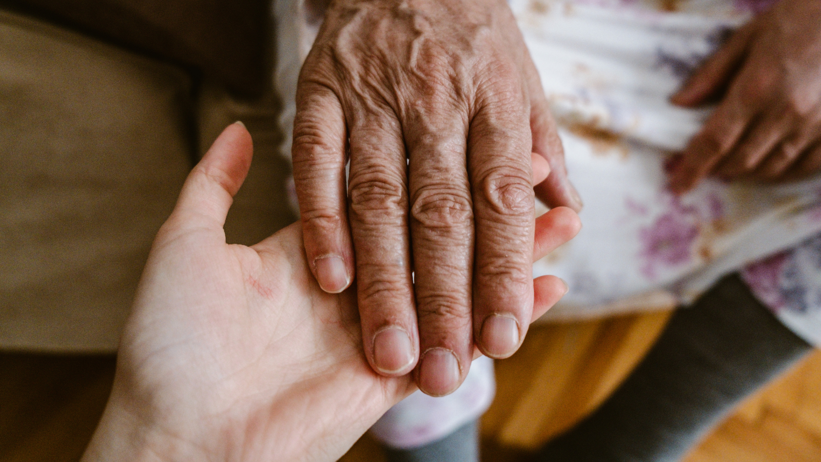 Grandmother Left Her Granddaughter Valuable Heirlooms Before She Died, But Now The Family Cant Find Them An elderly person holding a younger person's hand