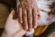 Grandmother Left Her Granddaughter Valuable Heirlooms Before She Died, But Now The Family Can’t Find Them
