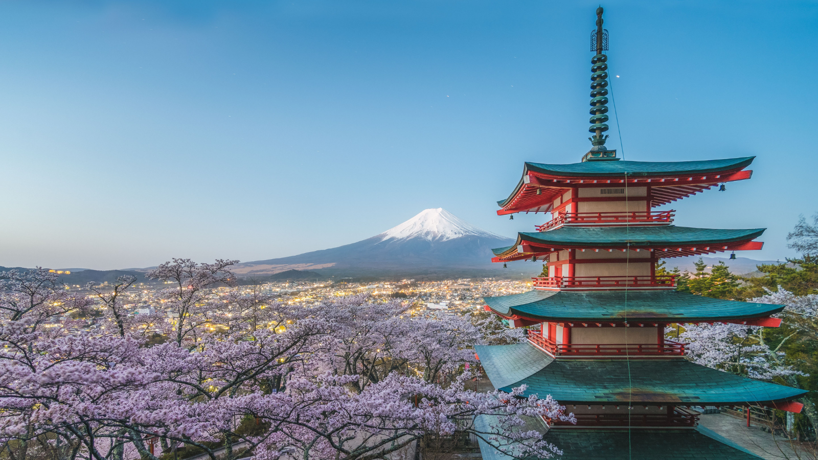 Student Made A Travel Guide For Her Friends Trip To Her Native Country, But What She Learned About Her Friends Interests Shocked Her A pagoda, cherry blossom trees, and Mt Fuji