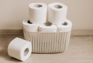 Stay-At-Home Mom Is Tired Of Cleaning Up After Her In-Laws, But Their Clogged Toilet Is Finally Her Last Straw