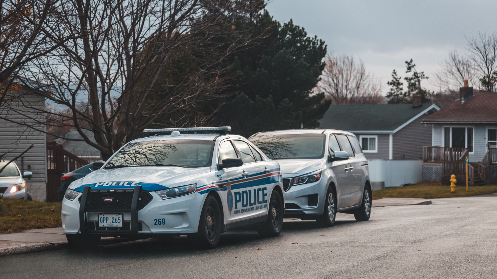 Their Peaceful Street Was Plagued by Non Stop Nuisance Reports—Then She Recorded the Noise Frequencies A police car in a suburb