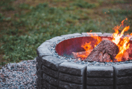 They Burned a Few Abandoned Hardwood Logs in Their Backyard—Then Returned Home to a $12,000 Small-Claims Suit Claiming They Destroyed “Exotic Timber”