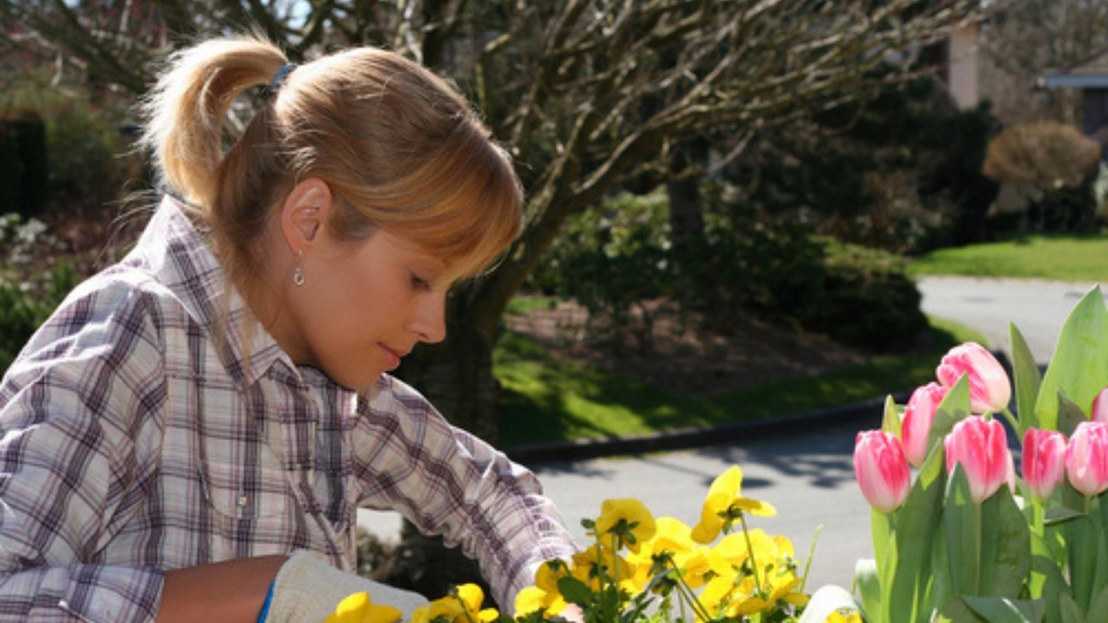 Planting flowers