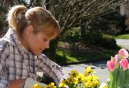New Neighbors Keep Planting Solar Lights In A Woman’s Garden, And She Doesn’t Know How To Stop Them