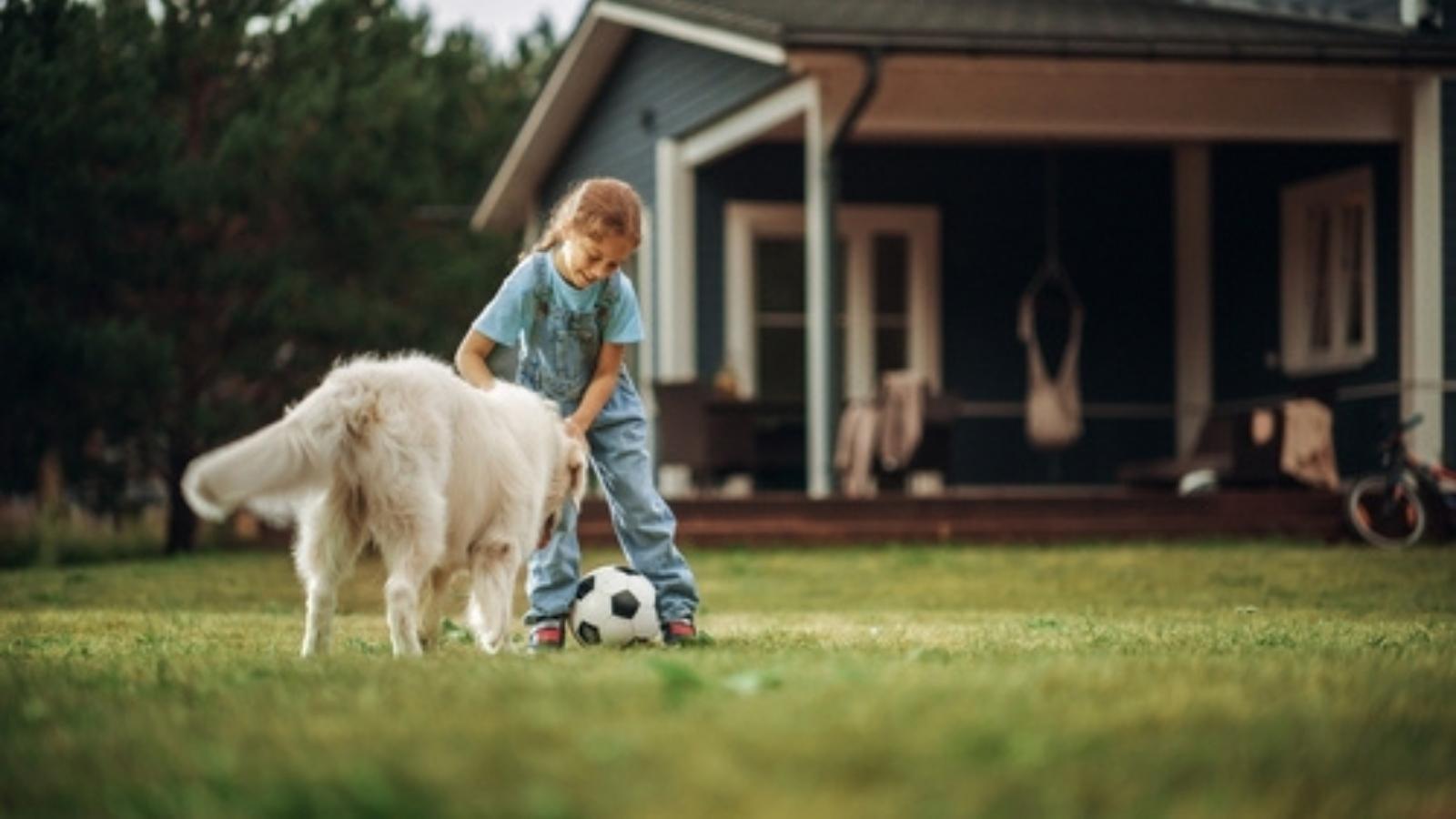 Shes Tired of Neighbors Wandering Onto Her Lawn and Porch — But Putting Up a Fence Means Theyll Hate Her Kids playing in the yard.