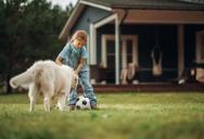 She’s Tired of Neighbors Wandering Onto Her Lawn and Porch — But Putting Up a Fence Means They’ll Hate Her