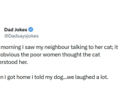 The Shirk Report – Volume 915 – Oct 22