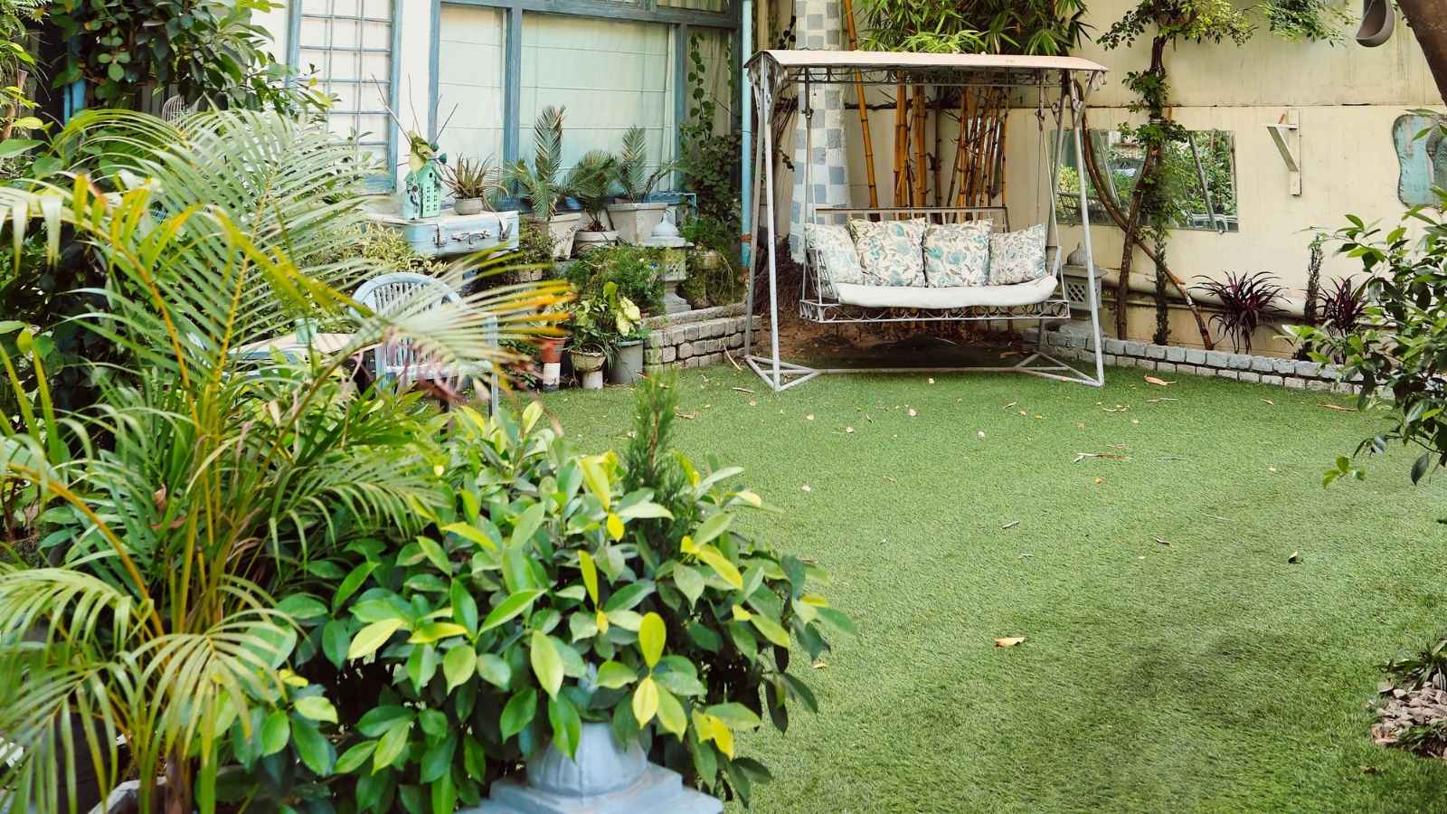 Backyard that's been cleaned up